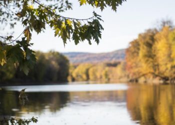Why water is life