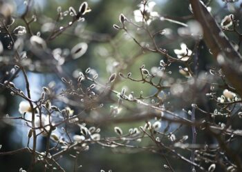 News & notes (4/14/21)