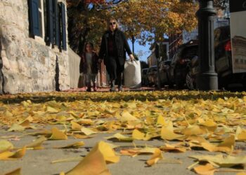 Letters to the editor (11/17/21)
