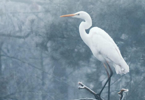 Lifespring holds February Mini-Course Series