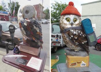 Rocky the Owl is this year’s community street art icon in Saugerties