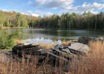 Woodstock and Ulster await unveiling of development proposal