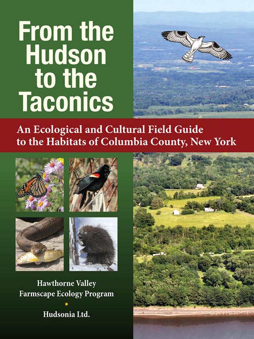 Gift the discovery of Hudson Valley’s independent presses