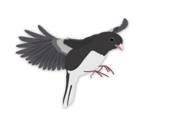 Over 45 artists created this exhibit in Kingston