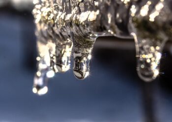 Ulster County complete calendar of events for 2/19-2/25