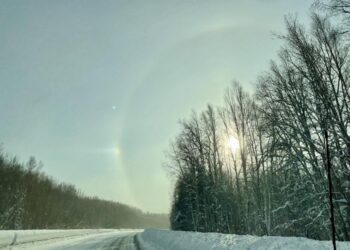 Sun dogs and haloes