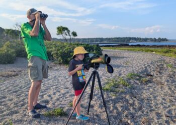 A passion for birding provides staying power and great benefits for our avian companions, for ourselves, and for the Earth