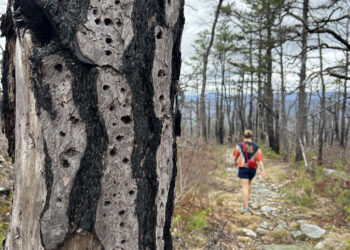 Ellenville entry point provides a unique perspective