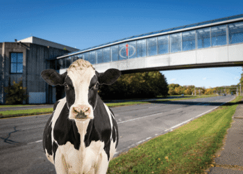 Kingston’s iPark 87 woos long-interested new tenant as West Campus parcels face foreclosure