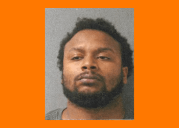 Kingston domestic violence call ends with felony weapon charges, police say