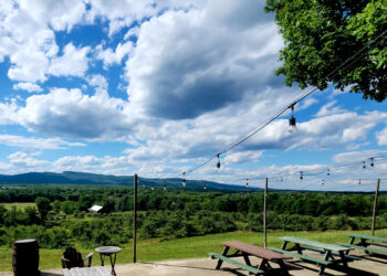 Hudson Valley orchard owners still waiting for federal aid after a devastating spring freeze