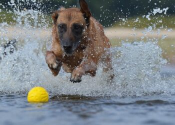 Ulster County event guide for 6/18-6/24