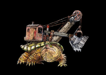 A snapping turtle survives against all odds