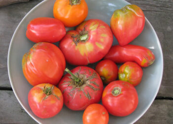 Heirlooms not from the attic