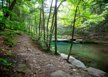 Rangers and volunteers rescue 12 lost hikers in two Ulster County searches